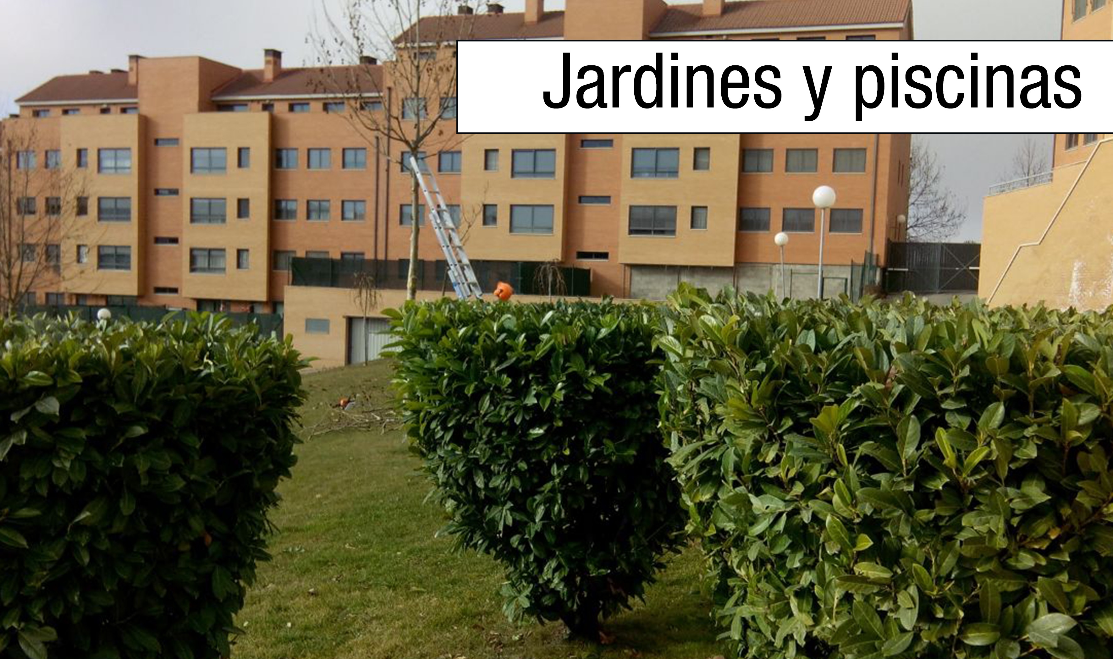 mantenimiento de piscinas y jardines